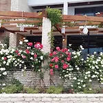 레지나 마리아 스파 디자인 4* 발치크
