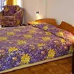 Regina Maria Design 4*