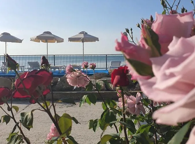 Szálloda Regina Maria Design